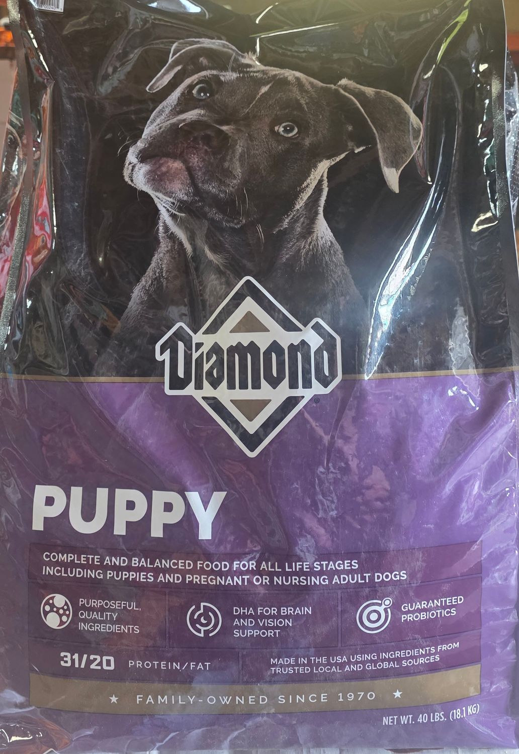 Diamond Puppy 40lb