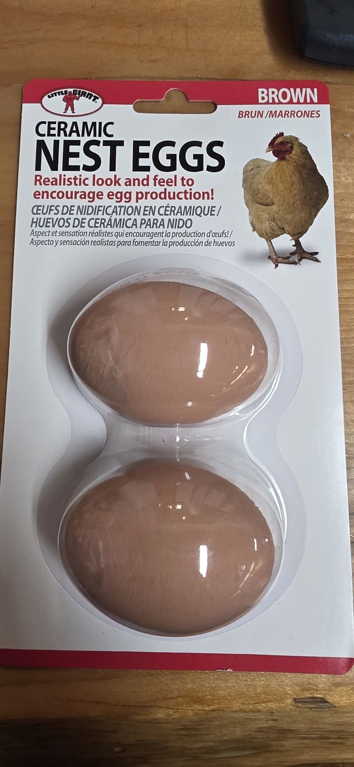 Ceramic 2pk nest eggs all