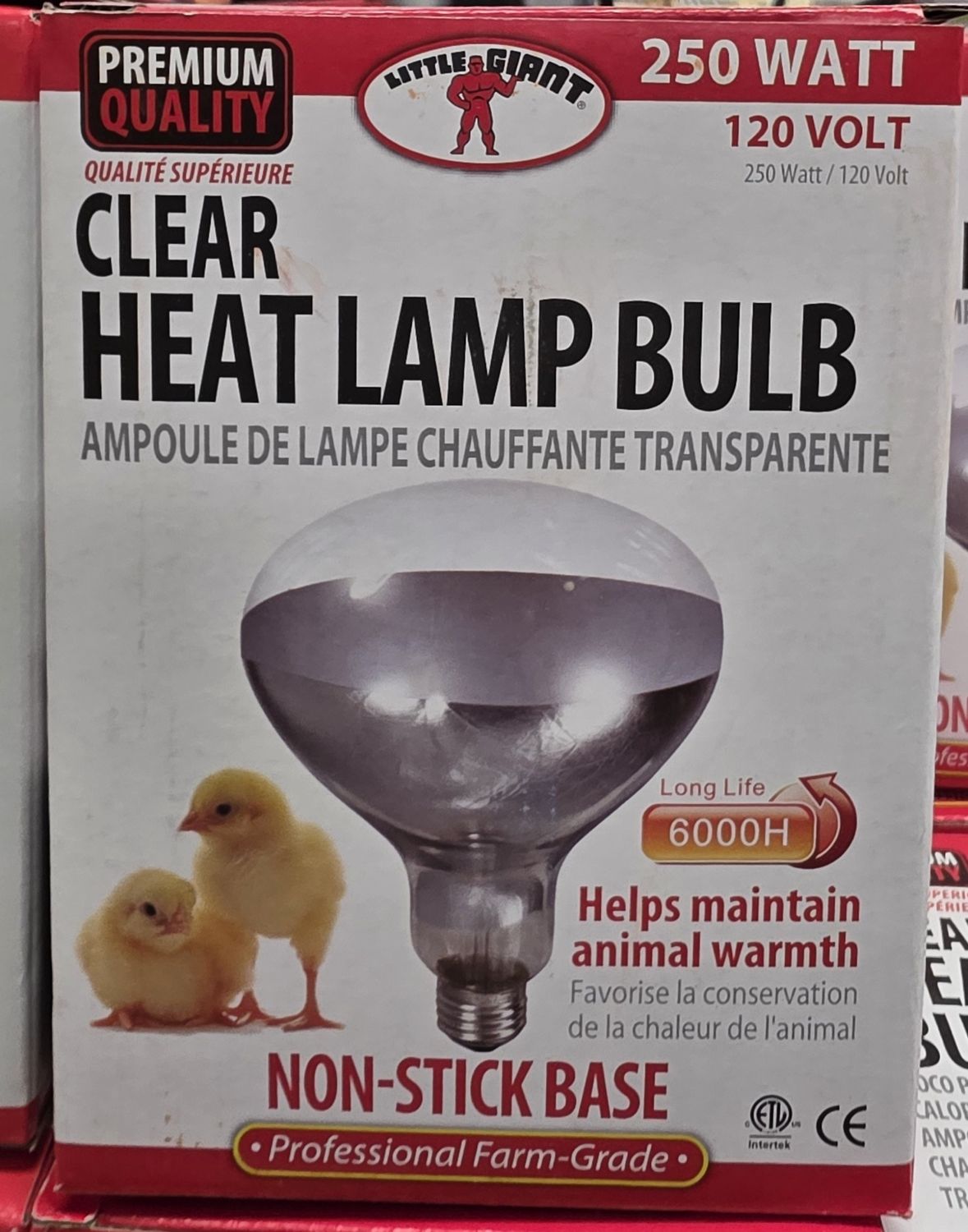 heat lamp bulb clear 250w