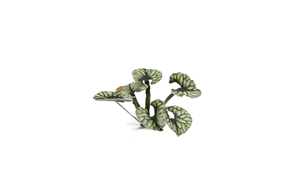 GamersGrass - Bugloss