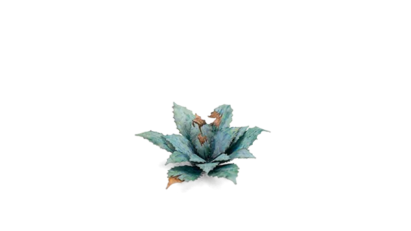 GamersGrass - Blue Agave