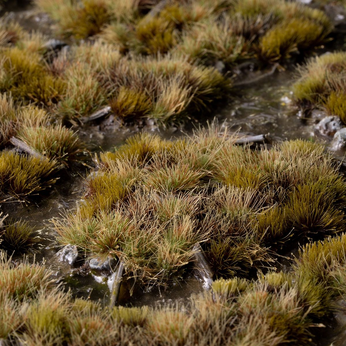 GamersGrass - Marshland Set - Wild