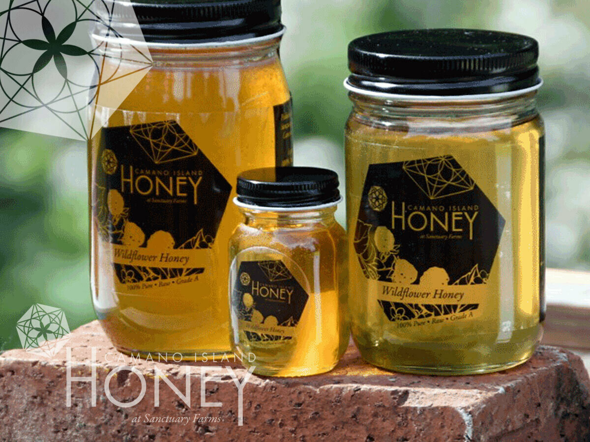 Camano Island sourced Honey *Available for Pick-Up or Local Delivery.  In 3 oz Baby Mason, 16 oz Family size and the Large Honey Addict 24 oz jars