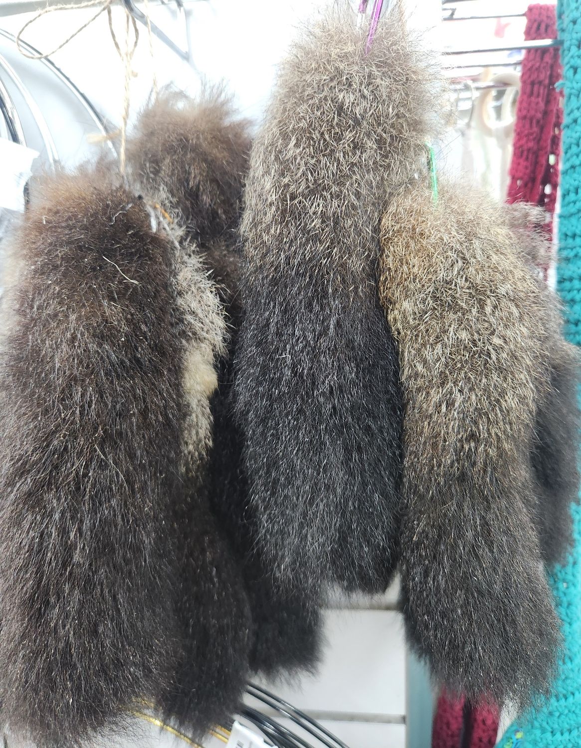 Possum Tail Each - Fundraiser for West Coast Penguin Trust
