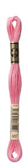 DMC Stranded Cotton Skein 8m Colour 957