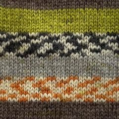 Crucci Sock Yarn 4ply 100g Colour Shade 16