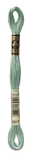 DMC Stranded Cotton 8m Skein Colour 3817