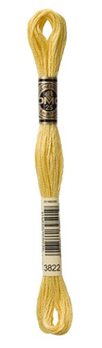 DMC Stranded Cotton 8m Skein Colour 3822
