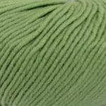 Broadway Merino DK 8ply 50g 105m Colour 1002 Apple