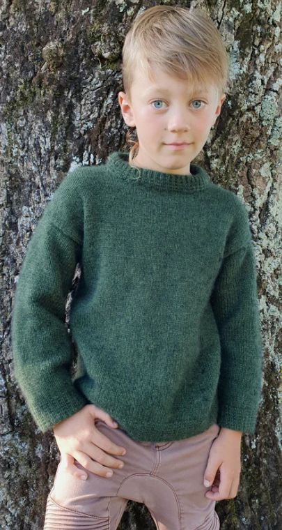 CW 8PLY Purrino Pattern Childs Jersey P378