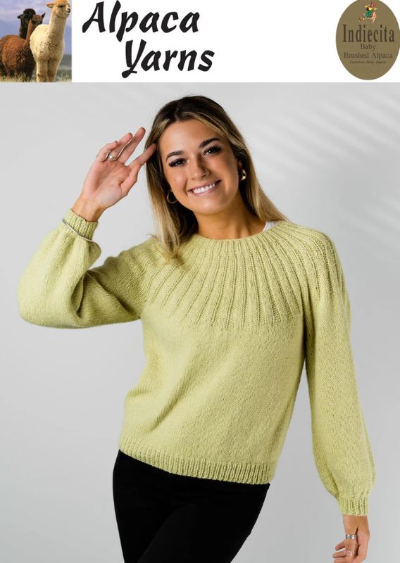Alpaca Yarns Pattern Jersey 14ply 1142