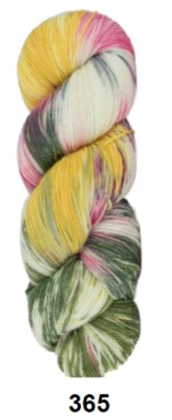 CW Hand Painted Sock Yarn Shade 365