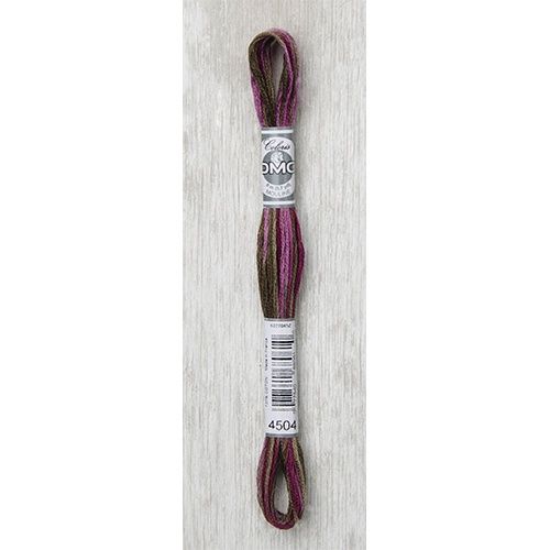 DMC Stranded Cotton Variegated Thread 8m col. 4504