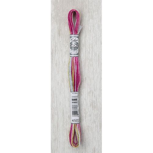 DMC Stranded Cotton Variegated Thread 8m col. 4502