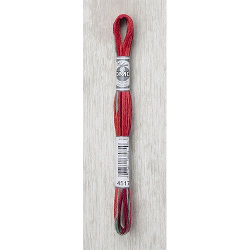 DMC Stranded Cotton Variegated Thread 8m col. 4517