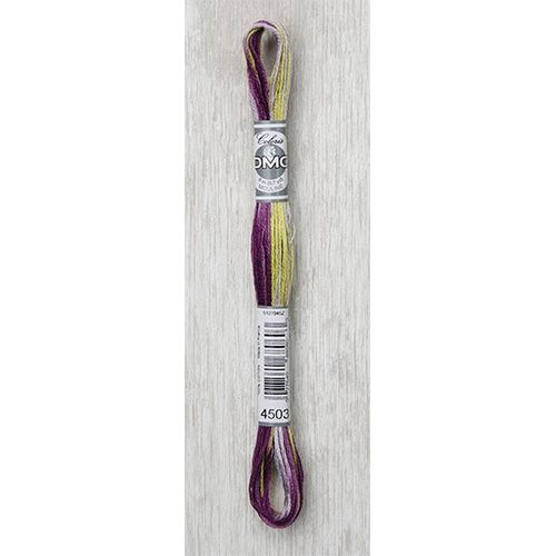 DMC Stranded Cotton Variegated Thread 8m col. 4503