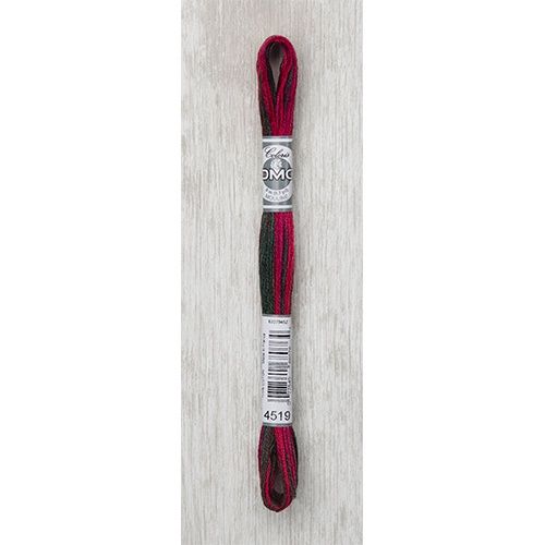 DMC Stranded Cotton Variegated Thread 8m col. 4519