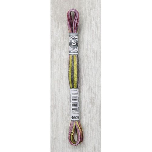 DMC Stranded Cotton Variegated Thread 8m col. 4509