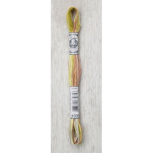 DMC Stranded Cotton Variegated Thread 8m col. 4508