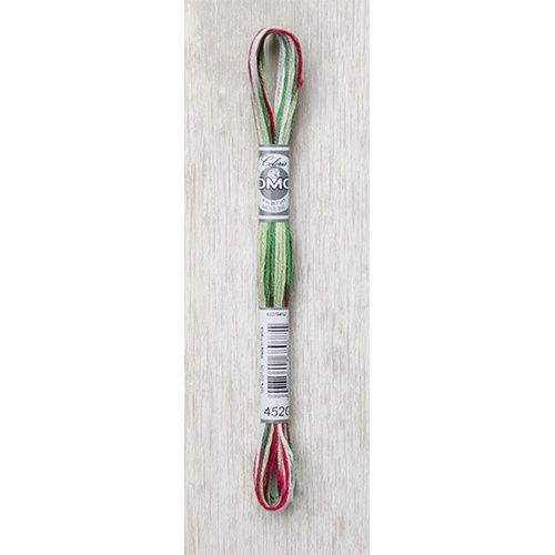 DMC Stranded Cotton Variegated Thread 8m col. 4520