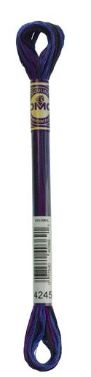 DMC Stranded Cotton Variegated Thread 8m Colour 4245 Mystical Midnight