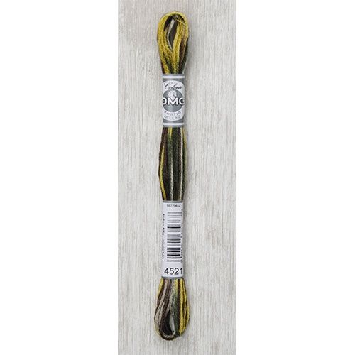 DMC Stranded Cotton Variegated Thread 8m col. 4521