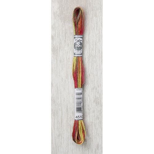 DMC Stranded Cotton Variegated Thread 8m col. 4510