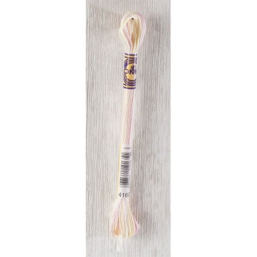DMC Stranded Cotton Variegated Thread 8m Colour 4160