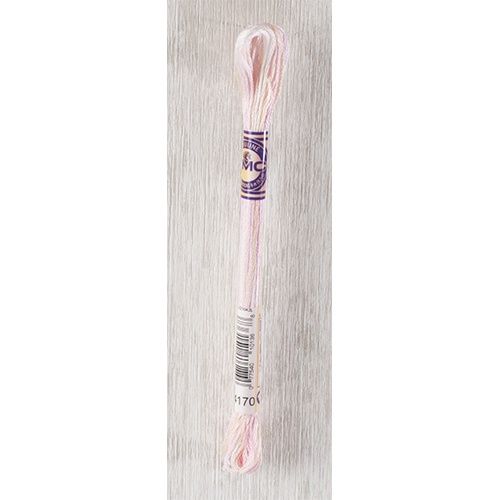 DMC Stranded Cotton Variegated Thread 8m Colour 4170