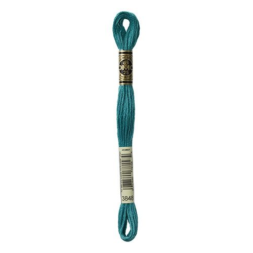 DMC Stranded Cotton Skein 8m Colour 3848