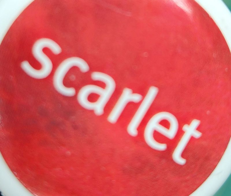 Ashford Dye Wool &amp; All Protein Fibres 10gm Pot - Scarlet