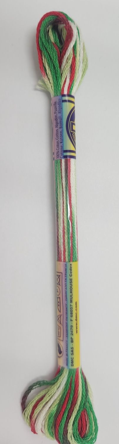 DMC Stranded Cotton Variegated Thread 8m Colour 4042