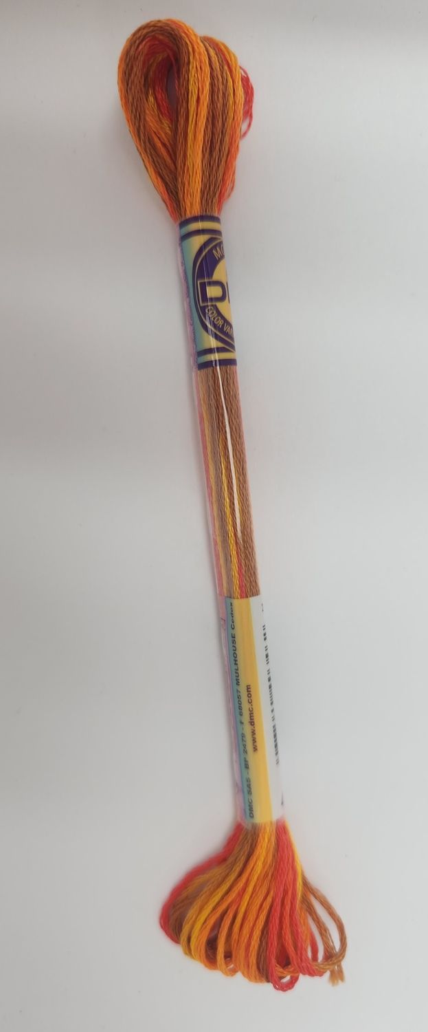 DMC Stranded Cotton Variegated Thread 8m col. 4122