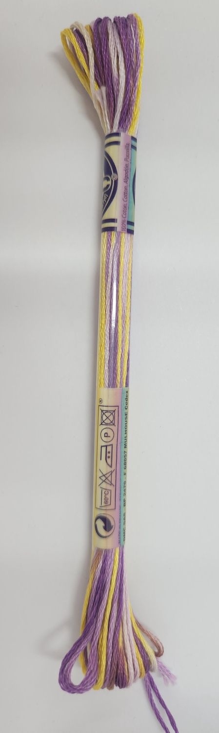 DMC Stranded Cotton Variegated Thread 8m col. 4265