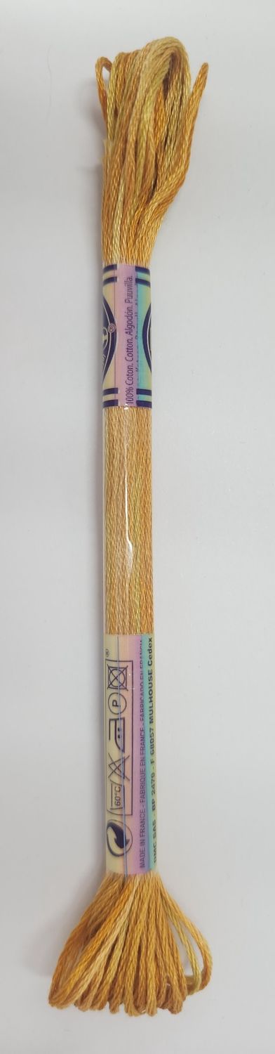 DMC Stranded Cotton Variegated Thread 8m col. 4129