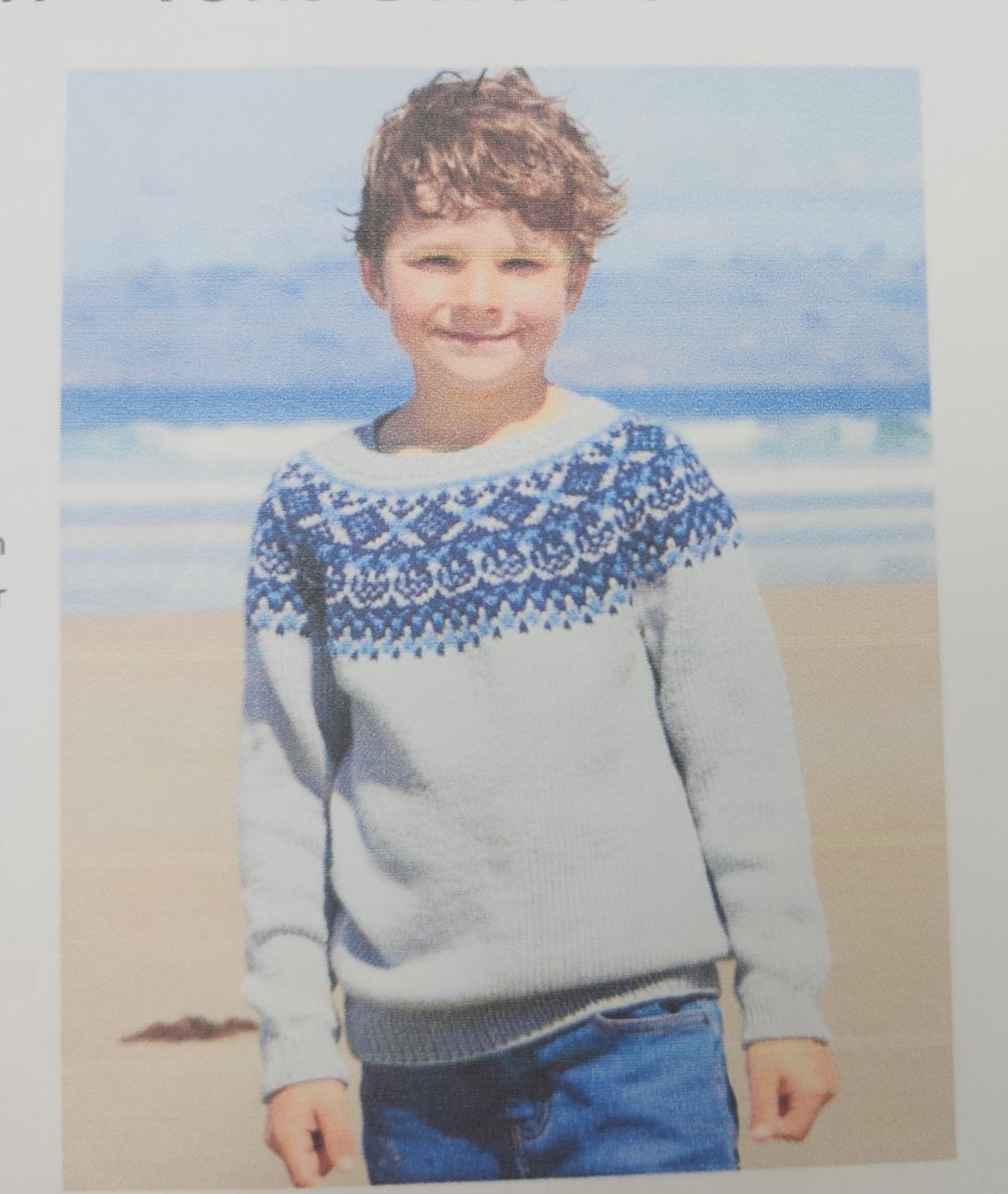 New Ashford Pattern Yoke sweater