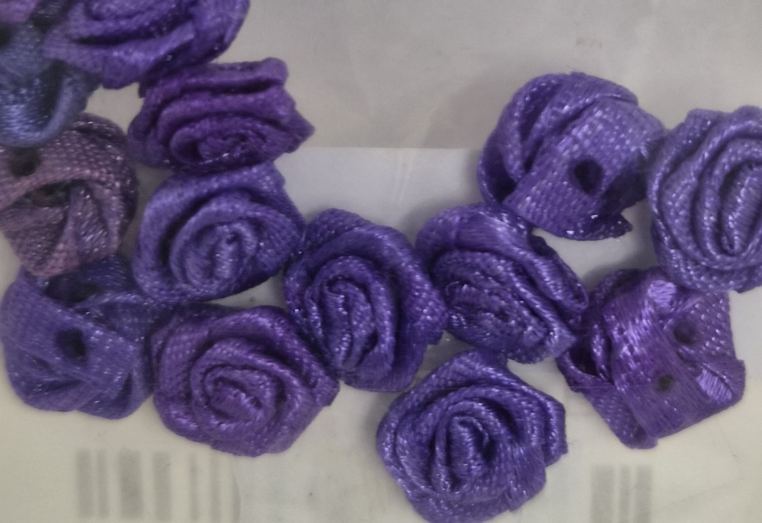 Violet Purple Roses - Each