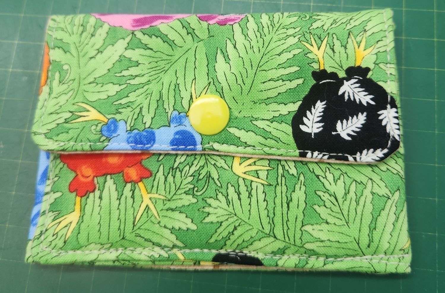 Card Holder - Kiwis