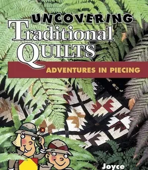 Uncovering Traditional Quilts, Adventures in Piecing