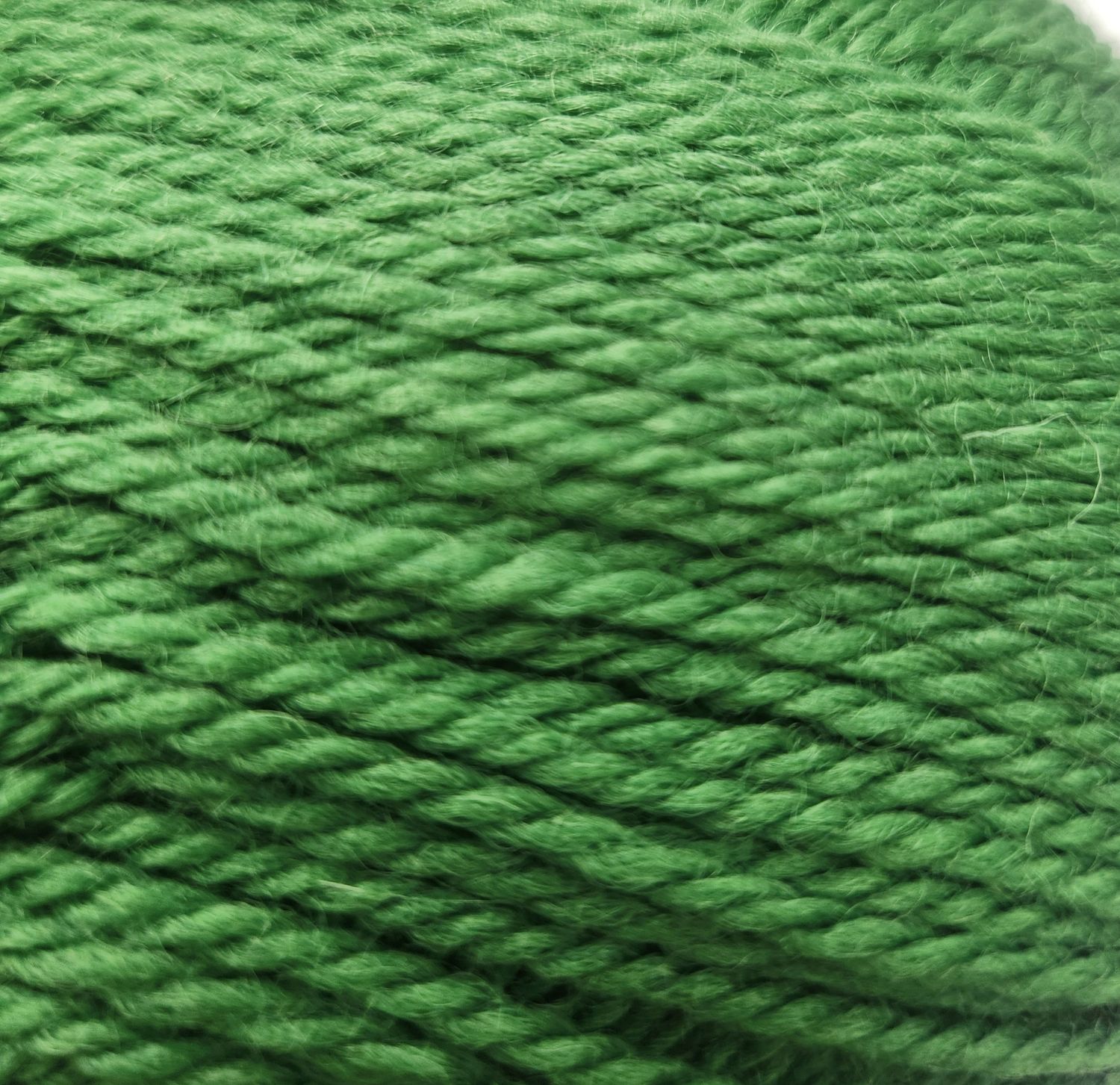 Ashford Double Knit 100gm 100% New Zealand Wool Colour 830 Green