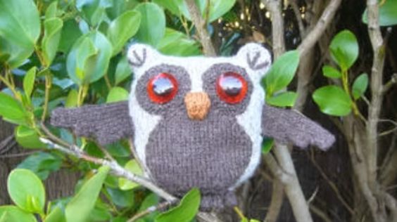What a Hoot Owl Knitting Pattern