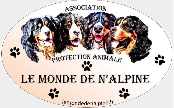 Autocollant association