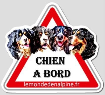 Autocollant "Chien à bord" (petit)