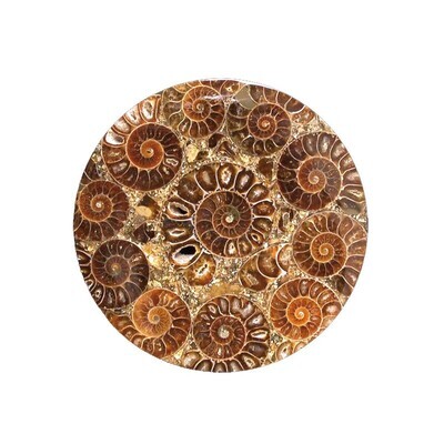 Plateau en ammonites de Madagascar.