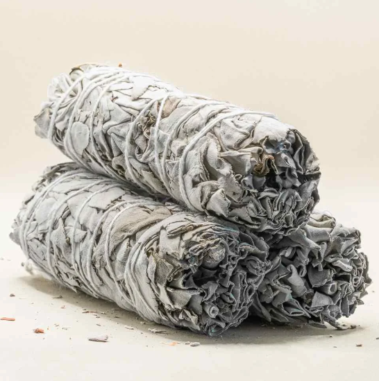 Sauge blanche amérindienne (10 cm)