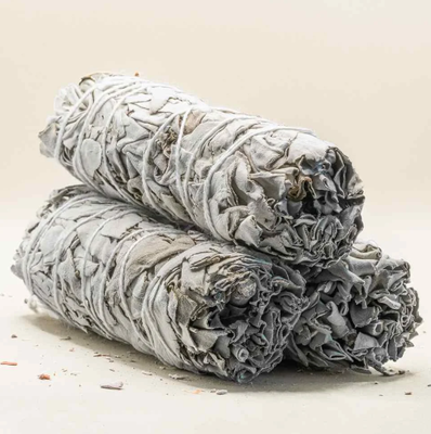 Sauge blanche amérindienne (10 cm)