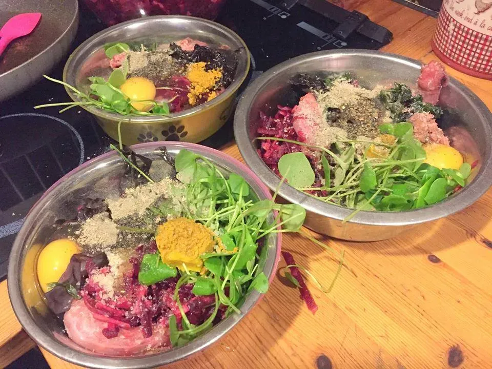 Naturopathie - nutrithérapie