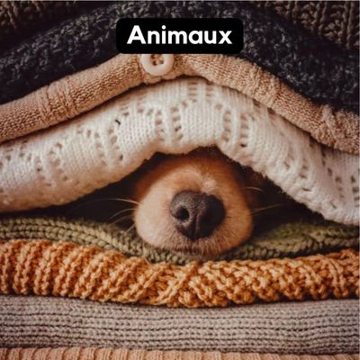 Animaux