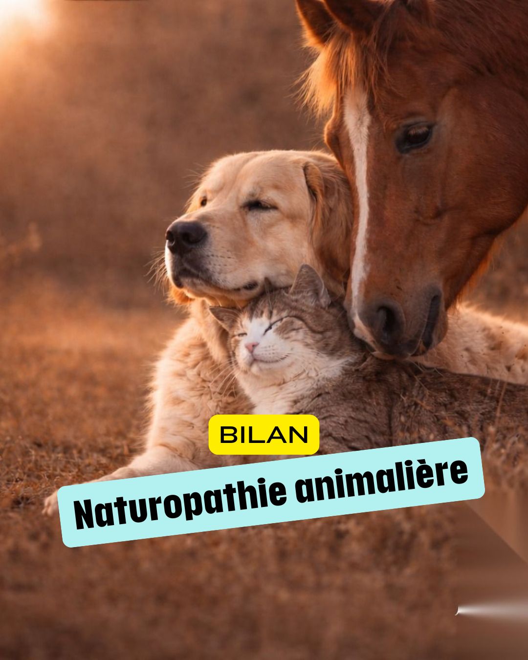 *Naturopathie pour animaux