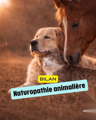 *Naturopathie pour animaux